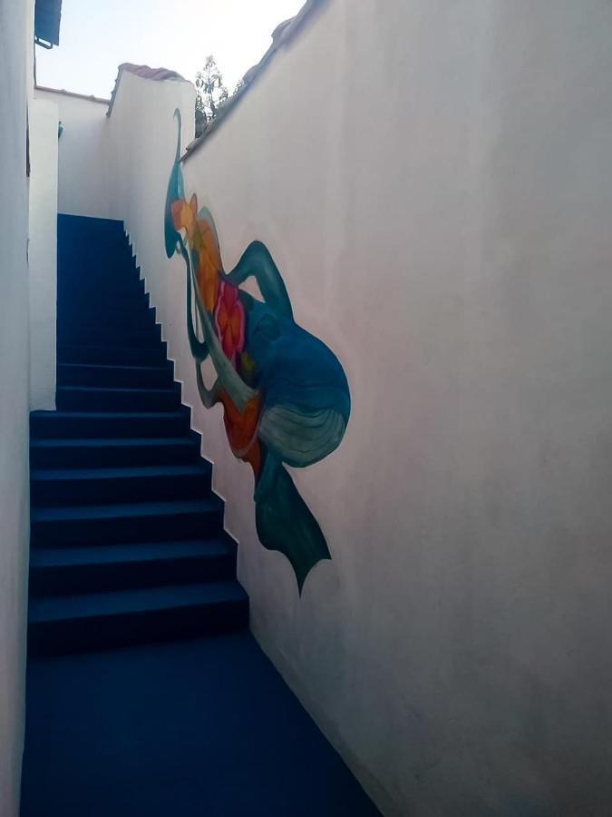 Trip Hostel E Suitesアハイアウ・ド・カボ エクステリア 写真